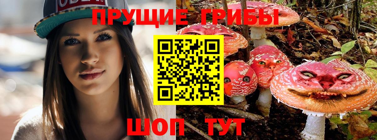 Амфетамин кристаллы  ГАШИШ  Стерлитамак  МЕФ кристаллы  Вход с VPN  Каннабис  Cocaine  Каннабис  MDMA  ТГК 